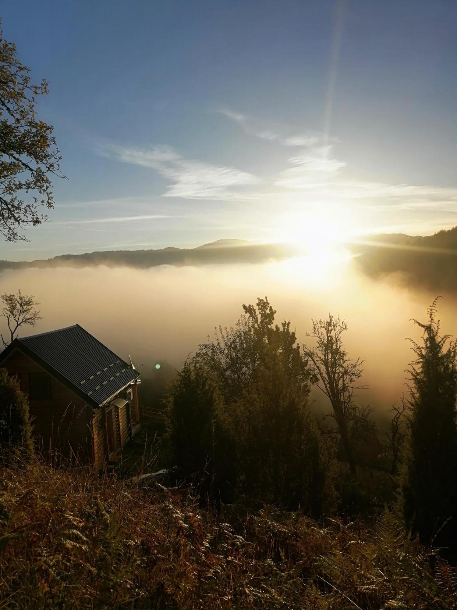 Vila Bella, Tara, Zaovinsko Jezero Villa Zaovine Екстериор снимка